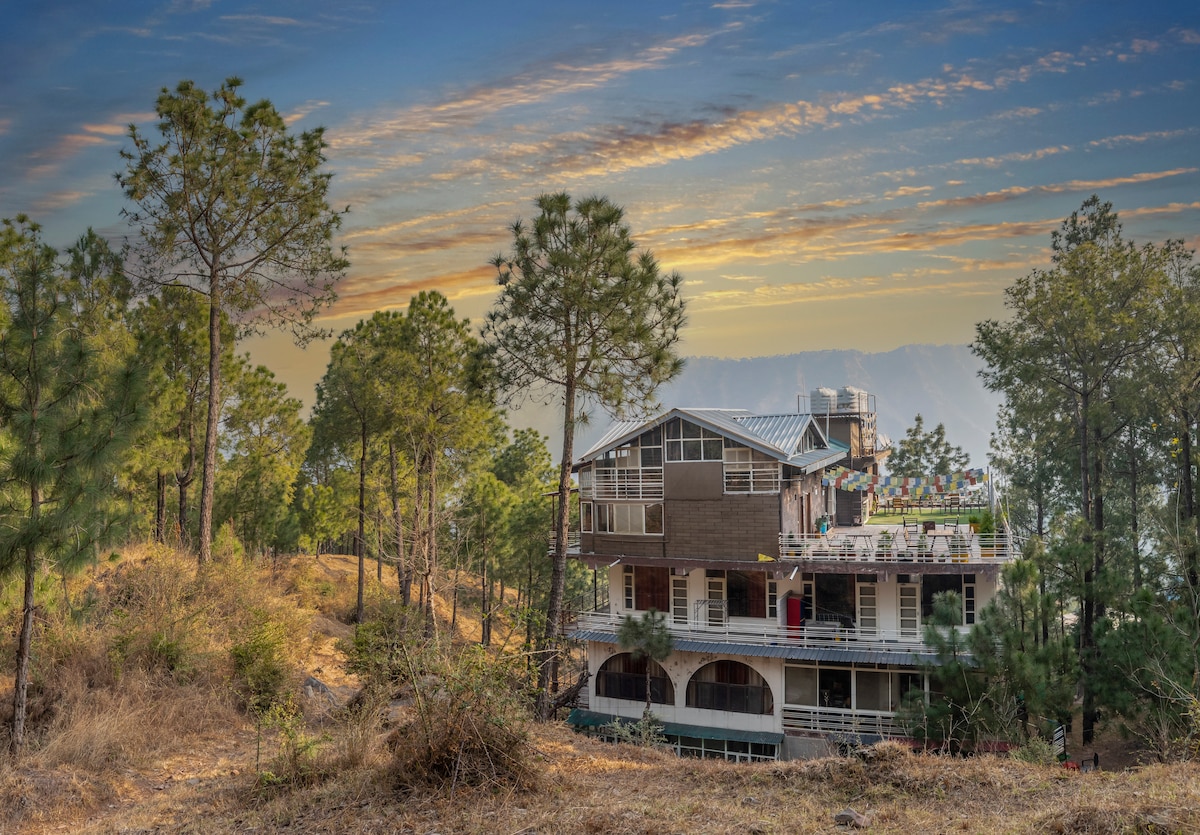 A multi-level building is surrounded by tall pine trees and natural foliage. The structure features large glass windows and a balcony adorned with colorful decorations. Soft golden light filters through the trees during sunset, creating a serene backdrop.