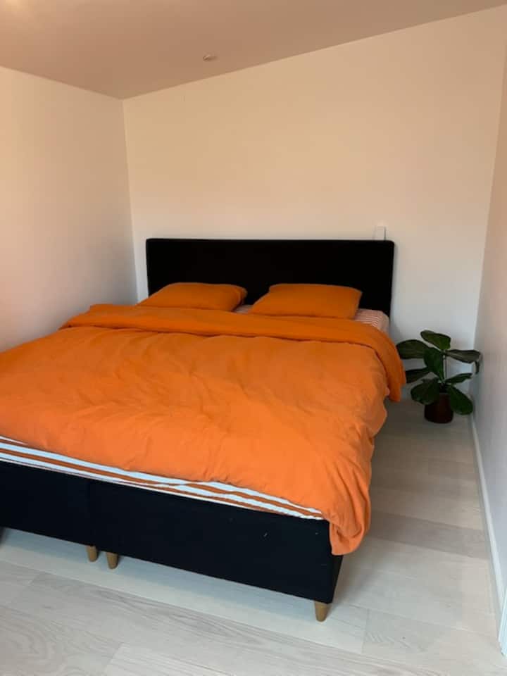 180 * 200. Pogled na vrt