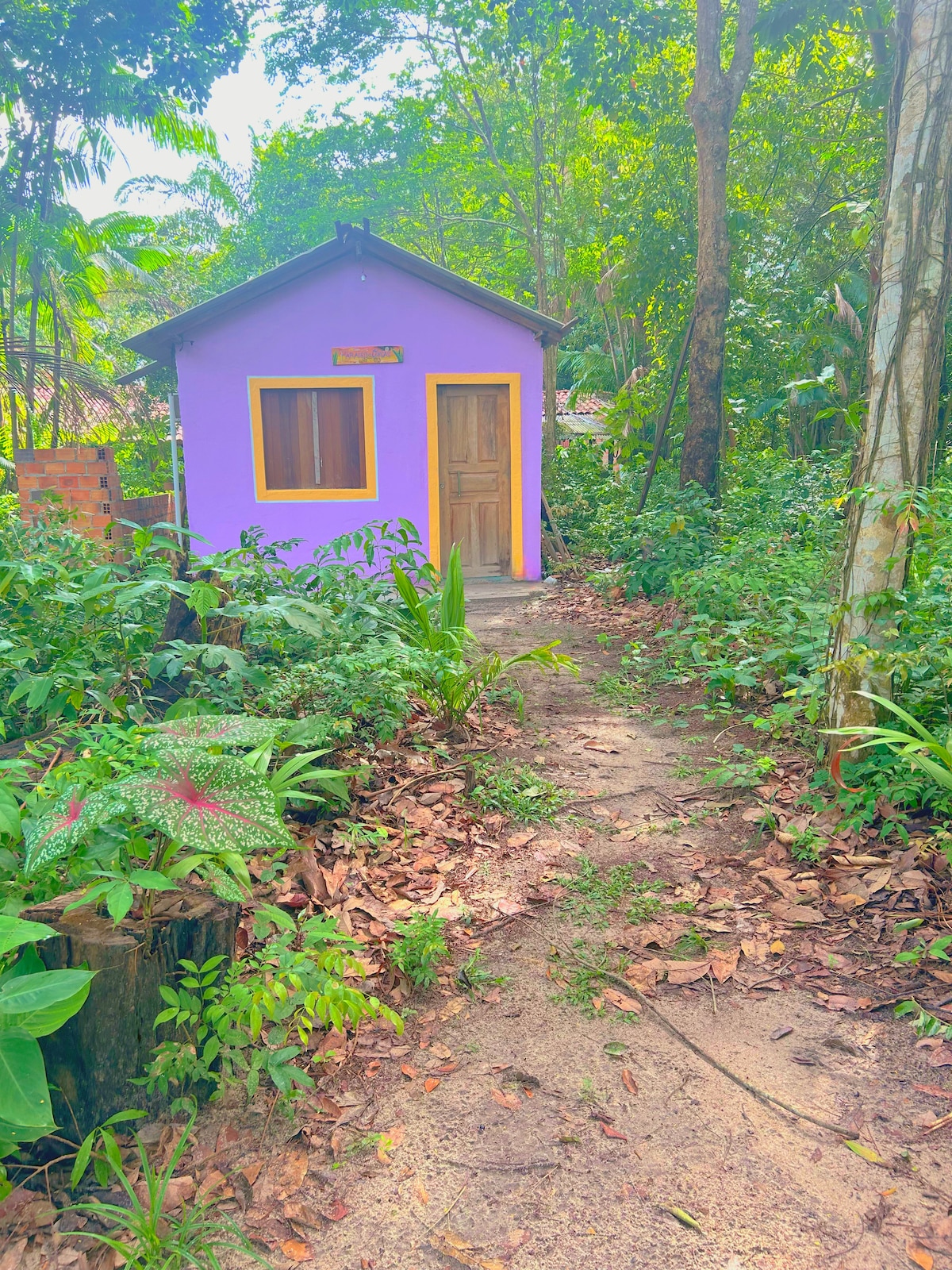 A vibrant purple cottage is nestled among lush greenery, surrounded by trees and tropical plants. A dirt path leads to the wooden door, showcasing the natural environment of the Amazon. Sunlight filters through the leaves, creating a serene atmosphere.