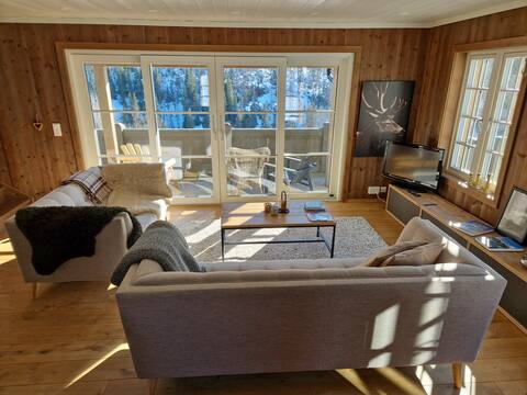 Top performing Airbnb: Atmospheric modern detached chalet: Pure enjoyment! in Bykle