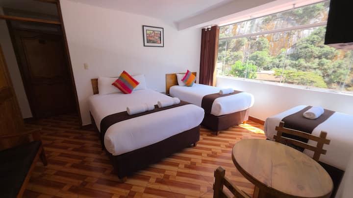 Habitación 4