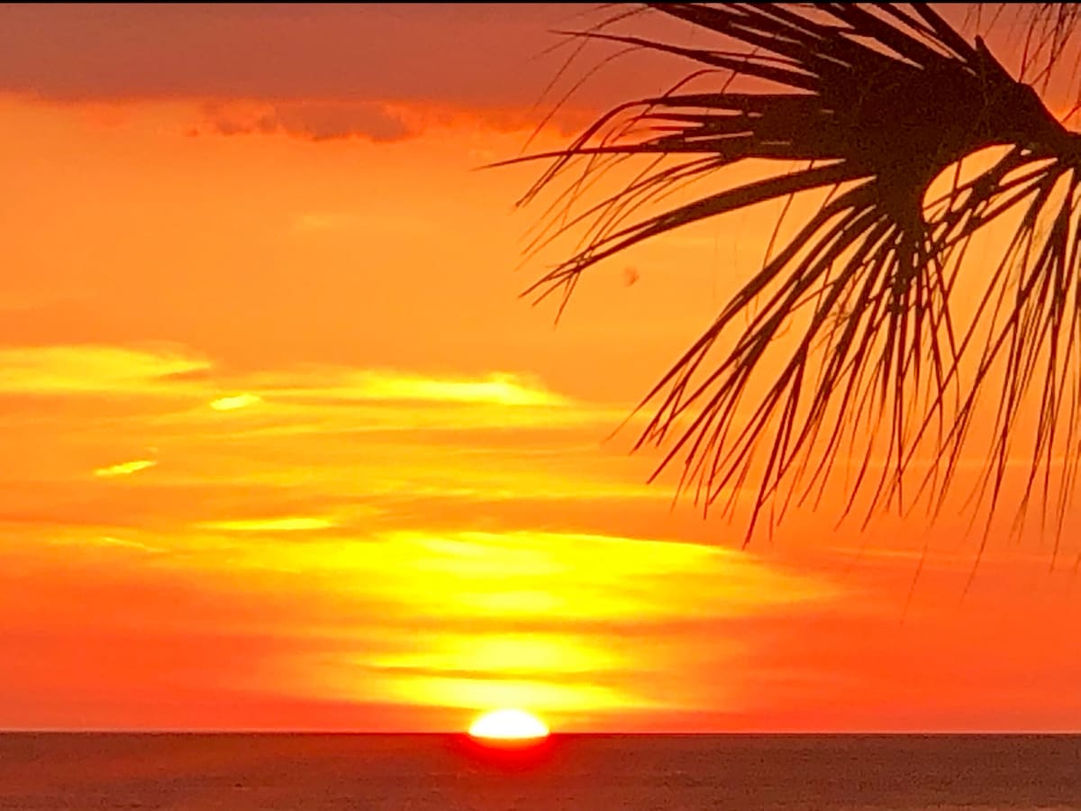 A vibrant sunset is captured over the ocean, with warm hues of orange and yellow blending into the sky. Silhouettes of palm fronds frame the top of the image, enhancing the serene coastal atmosphere.