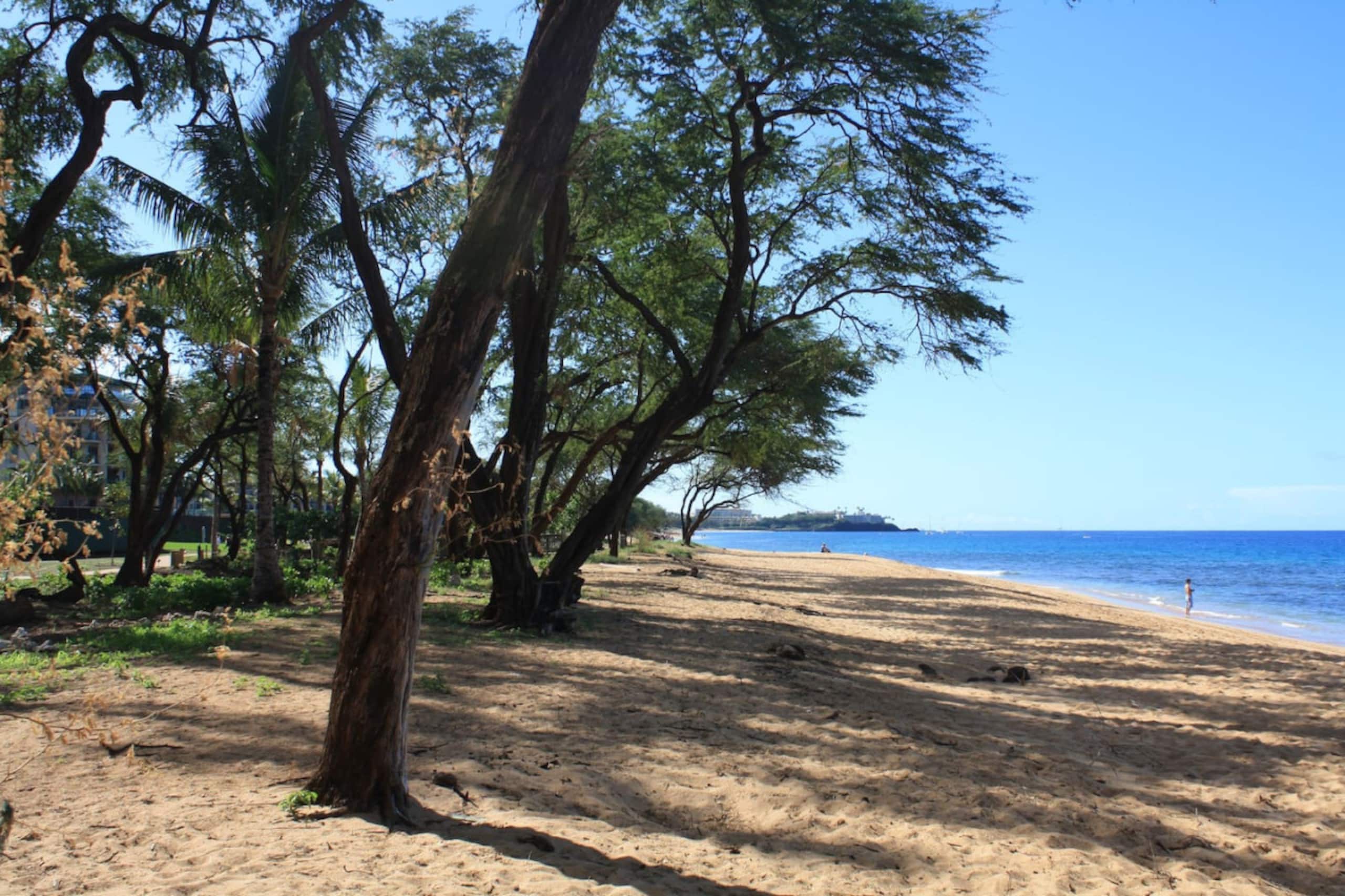 Condo in Lahaina · ★4.99 · 1 bedroom · 2 beds · 1 bath - Image 16