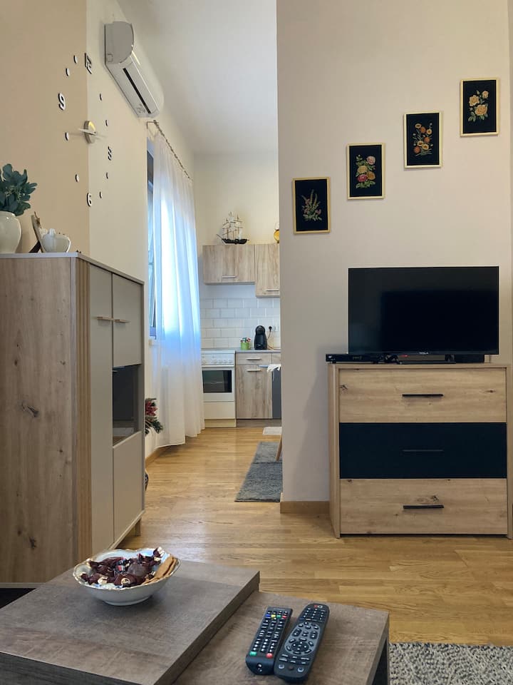 Flower Apartment - Nowy Sad