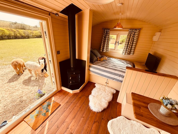 The Woolly Retreat - Alpaca Shepherds Hut. - East Sussex