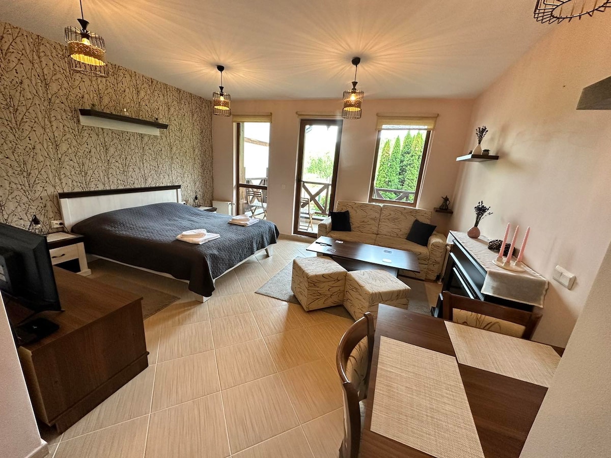 A spacious studio room is presented, featuring a comfortable bed adorned with fresh linens. A seating area includes patterned sofas and a coffee table. Natural light enters through a set of glass doors, leading to a balcony with views of greenery.