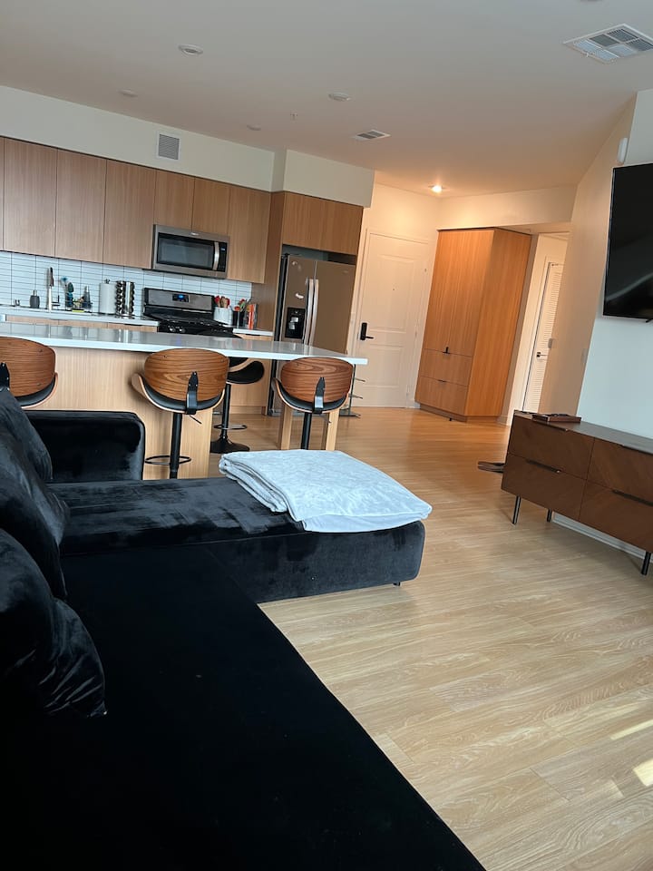 Luxury Apt Near Disney & Huntington Beach! - Garden Grove, CA