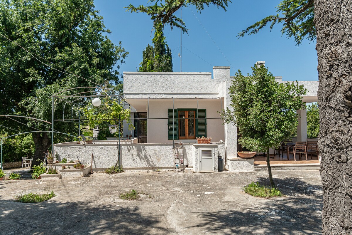 Il Villone nel Bosco — 53