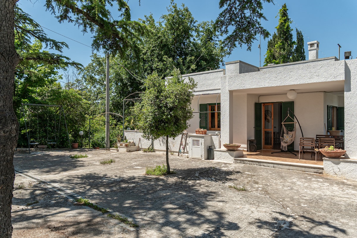 Il Villone nel Bosco — 54