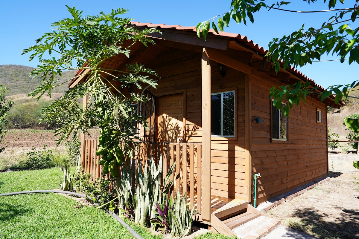 A wooden cottage is framed by lush greenery, featuring a gabled roof and inviting entrance steps. Windows provide glimpses of the surrounding landscape, and a variety of plants adorn the exterior, complementing the natural setting.