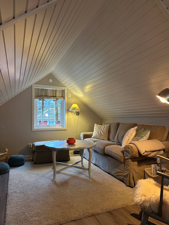 Vakantiehuis In Zweden - Strömstad