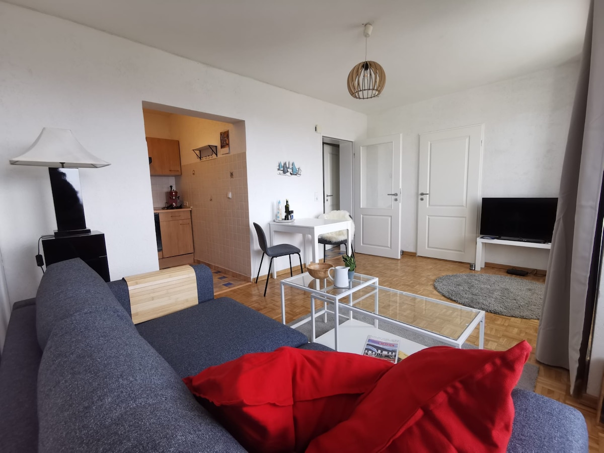 A living area is shown, featuring a gray sofa with a red throw pillow. A coffee table sits on a wooden floor, and a dining area with two chairs is visible in the background. A television stands on a small table, with doors leading to another room.