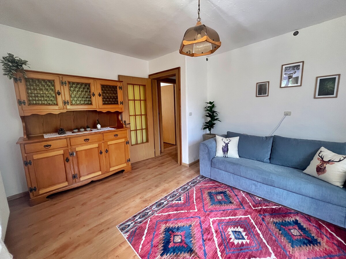 Airbnb con migliori performance: House in Dolomiti (Casa La Mora) 3km from Ski Area a Falcade