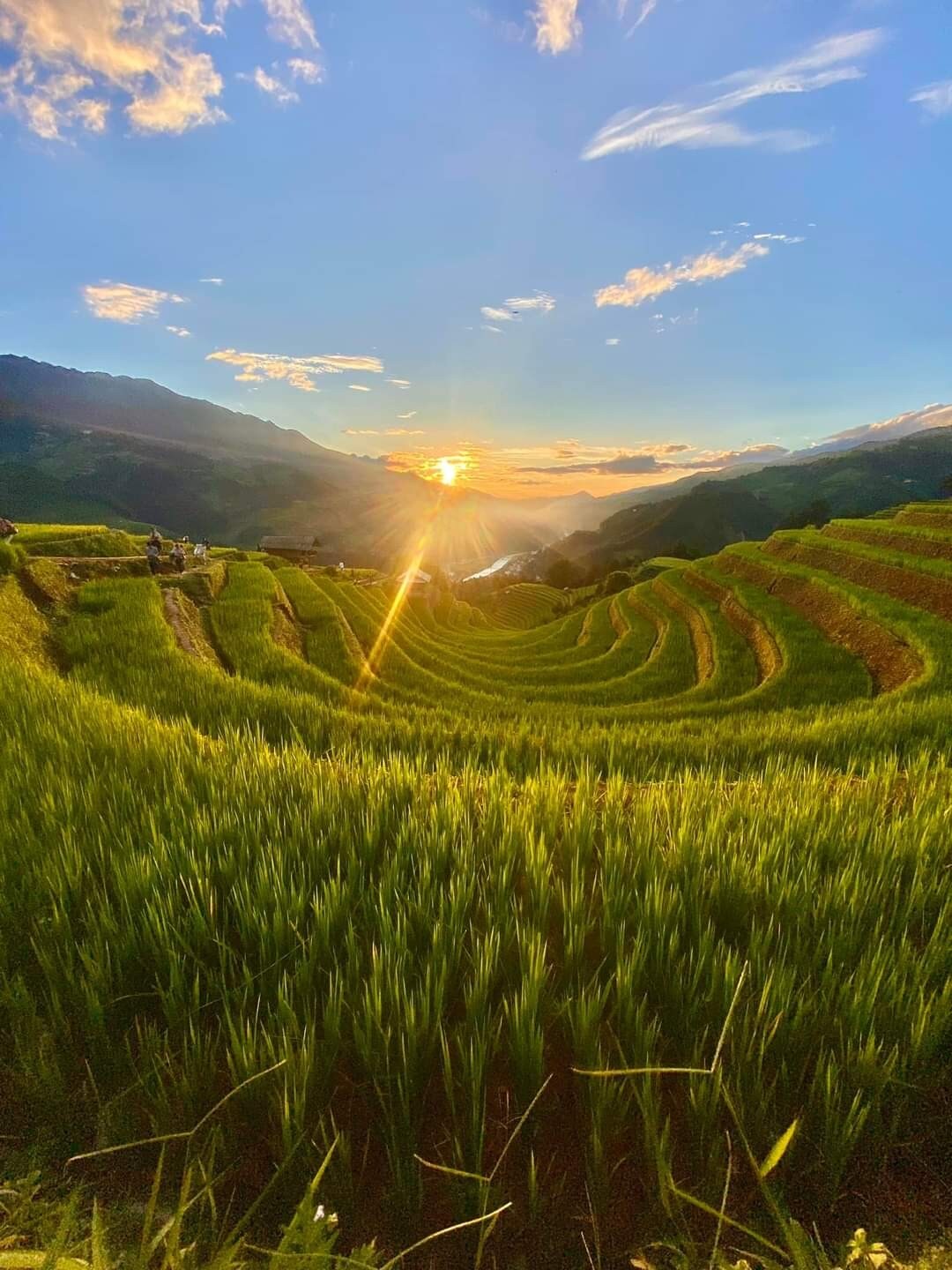 Layered rice terraces extend across rolling hills, characterized by vibrant green hues. The sunset casts a warm glow, illuminating the valley below. Soft clouds scatter across the sky, enhancing the sense of depth in the landscape.