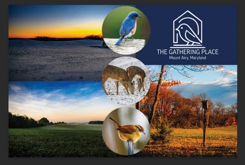 Peaceful Deck, Game Room Near DC, Gettysburg