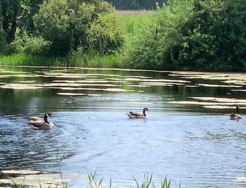 Renovated—Spotless Home—Quiet Area Near Food/HBCUs