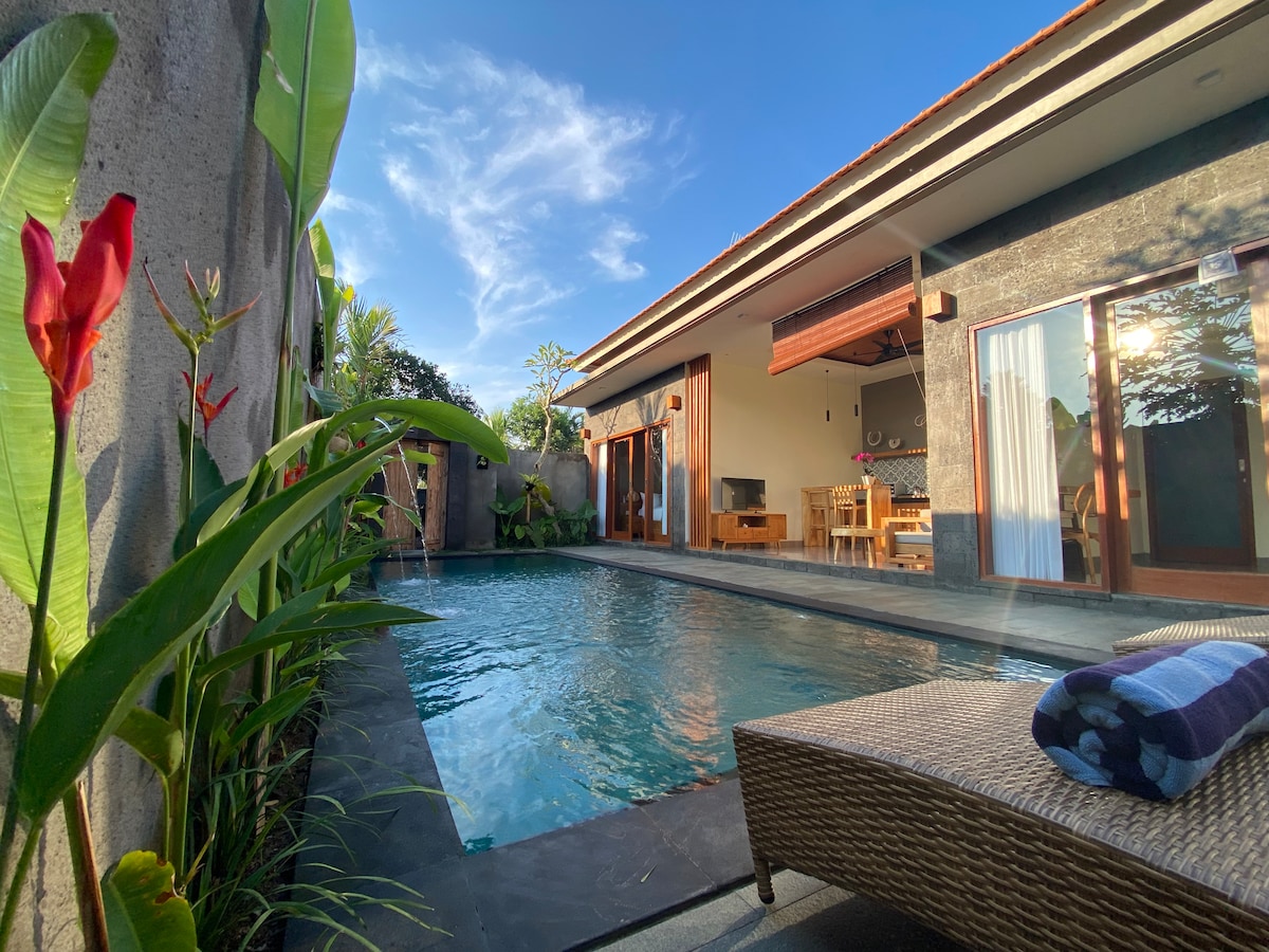 A private swimming pool is surrounded by lush greenery, featuring a comfortable sunbed beside it. The villa's open living area reveals wooden dining furniture and large glass doors that allow natural light to fill the space, creating a serene atmosphere.