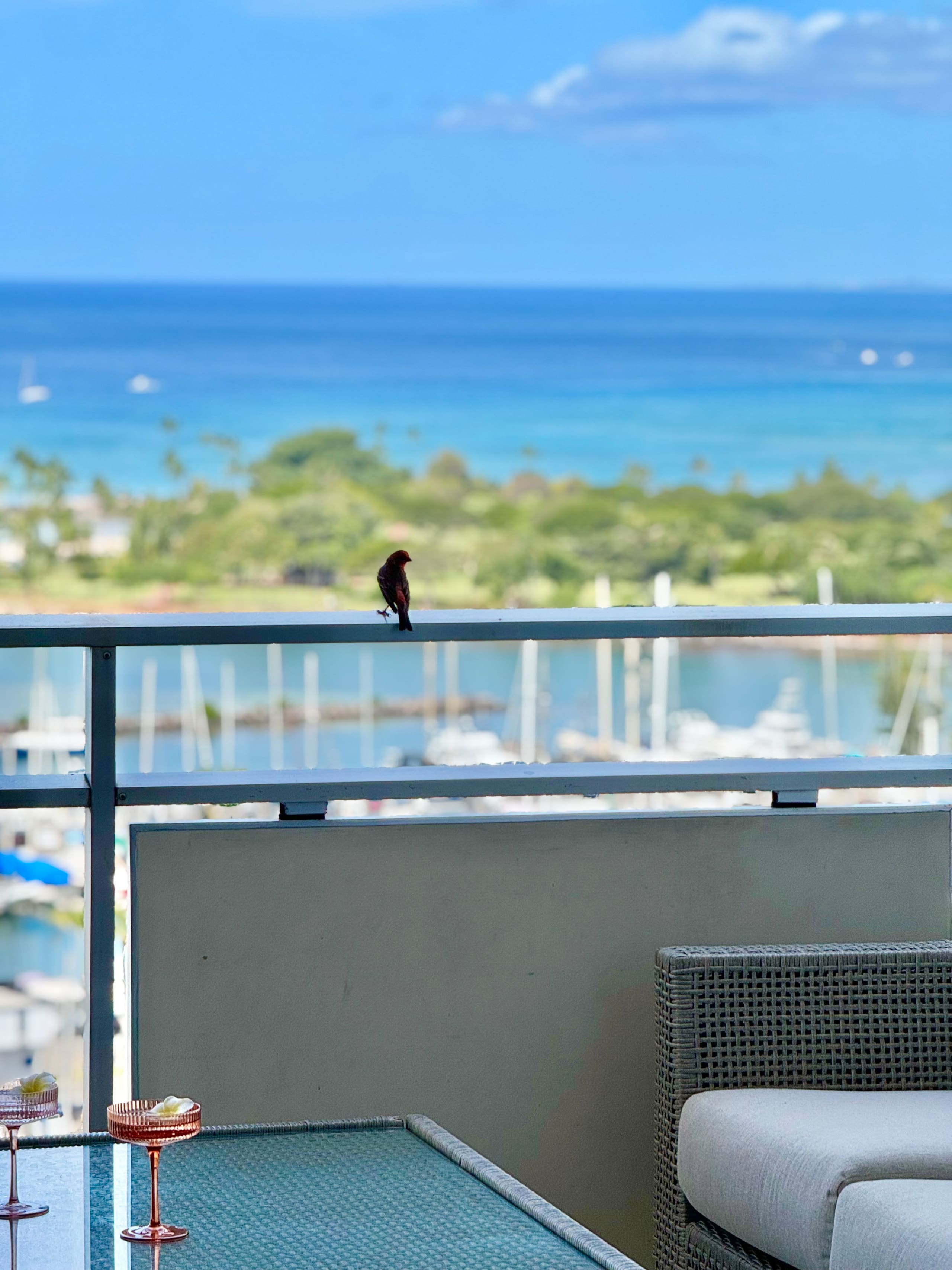 Condo in Honolulu · ★4.9 · 1 bedroom · 2 beds · 1 private bath - Image 6