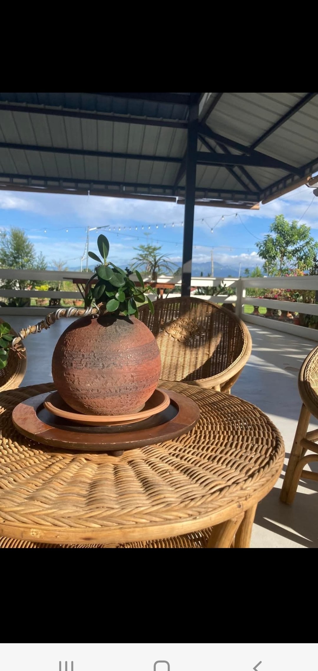 A set of three woven chairs surrounds a round table featuring a clay pot with a small plant resting on a wooden tray. The background showcases green foliage and distant mountains under a clear blue sky.