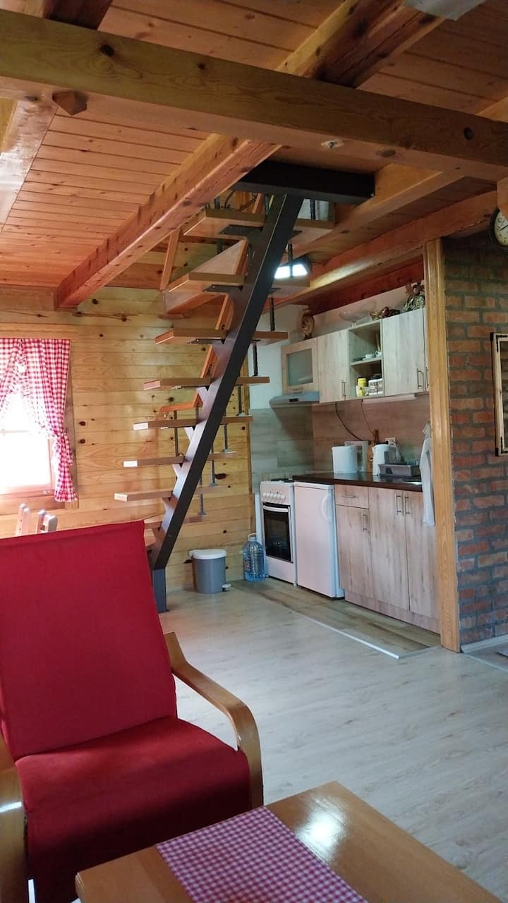 Kuca Za Porodice Sa Decom. - Mokra Gora