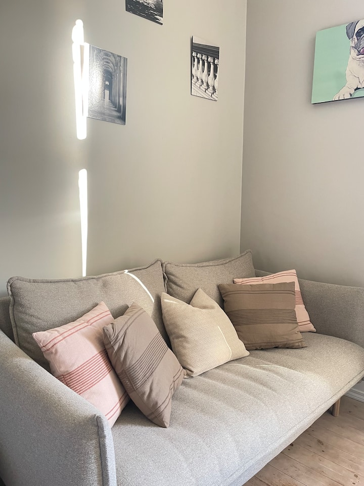Spacious Penthouse In Vika – Central & Bright - Oslo