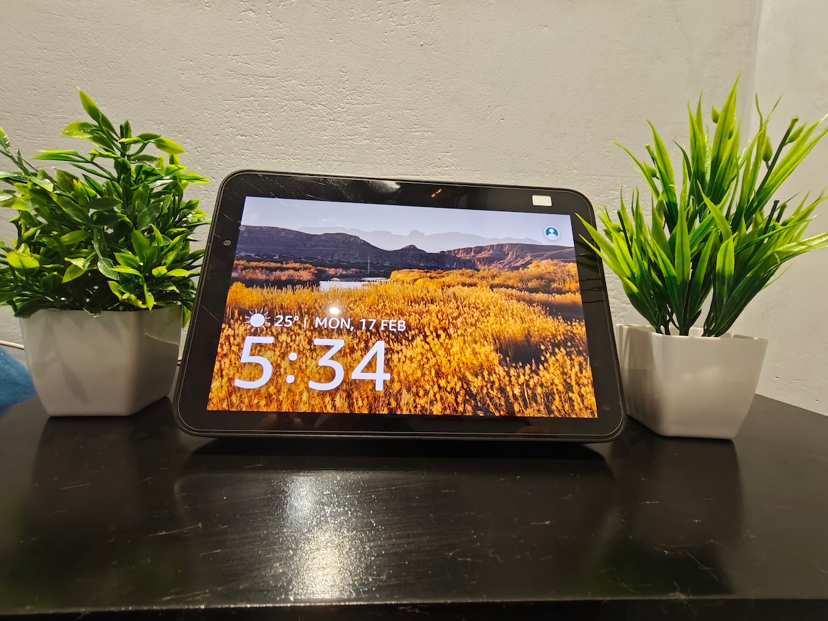 A digital display is positioned on a dark wooden table, showcasing the time and weather. Flanking the display are two small potted plants, adding a touch of greenery to the contemporary setting.