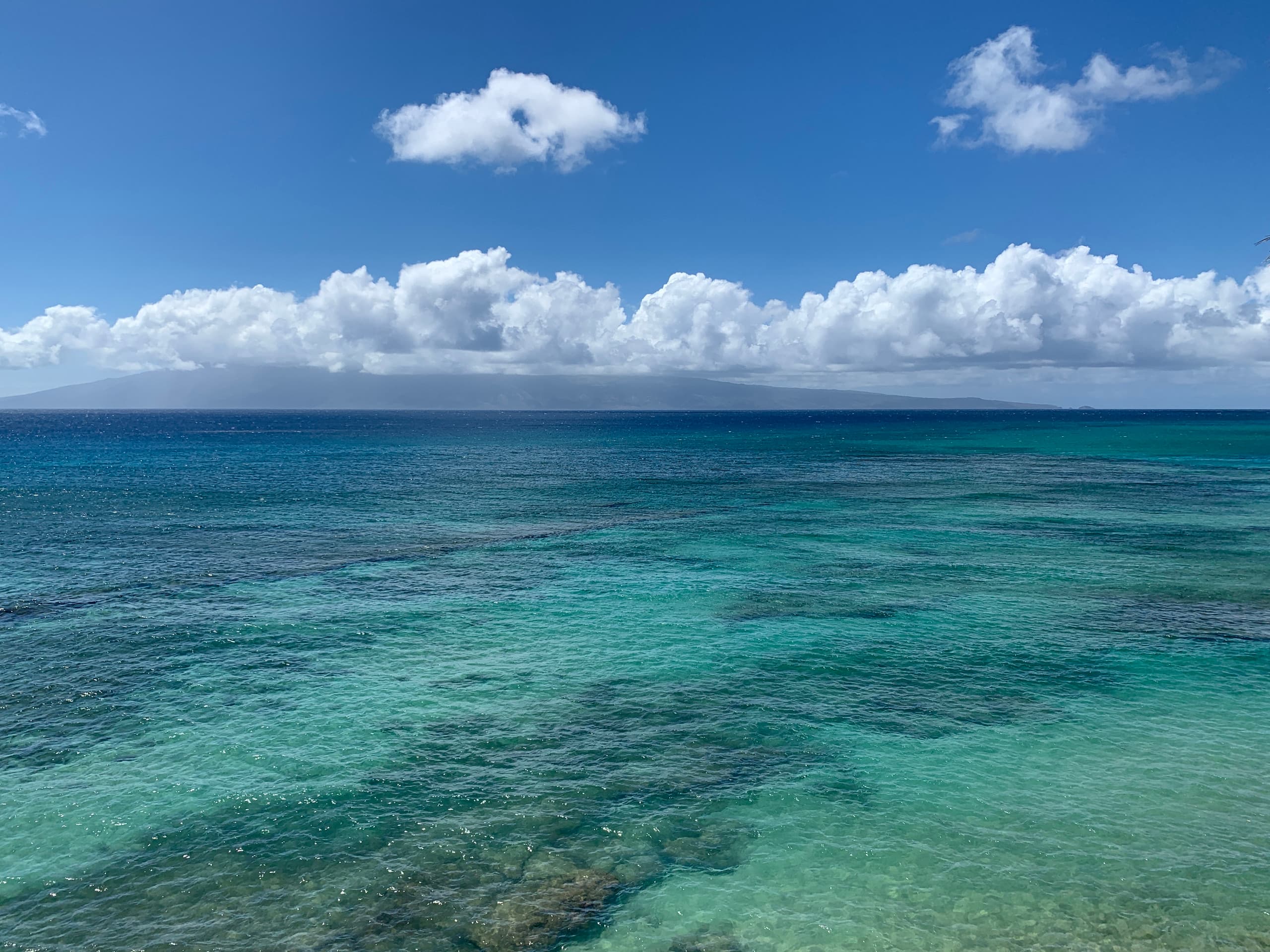 Condo in Lahaina · ★4.94 · 1 bedroom · 2 beds · 1 private bath - Image 68