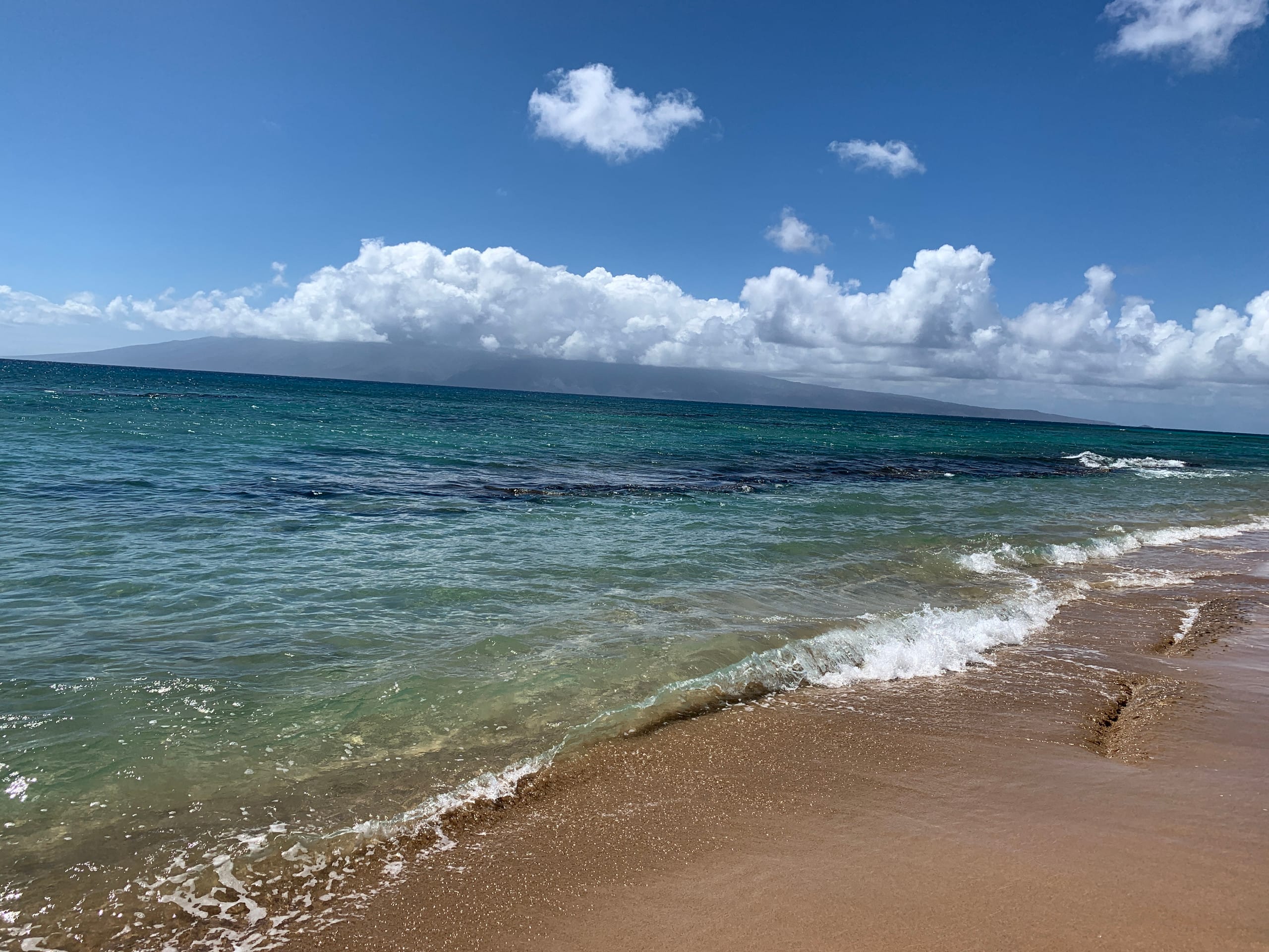 Condo in Lahaina · ★4.94 · 1 bedroom · 2 beds · 1 private bath - Image 71