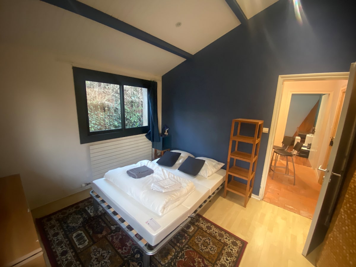 A spacious sleeping area features a double bed with neatly arranged bedding. A wooden shelf stands in the corner. Natural light enters through a large window, illuminating the blue wall and highlighting the warm wooden floor.