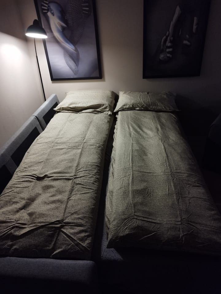 הספה הנפתחת מוכנה לשני אנשים. הכול (ספה, מזרן עליון, שמיכות, כריות, מצעים וכו') חדש. 