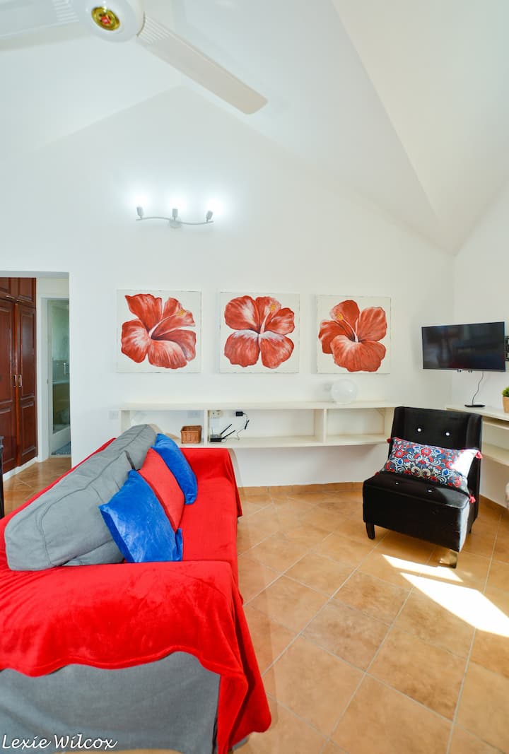 Island Charm 2 Bedroom Penthouse Summer Discount% - Punta Cana