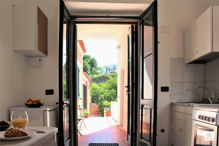 Studio With Lodge In The Green - Ischia Porto
