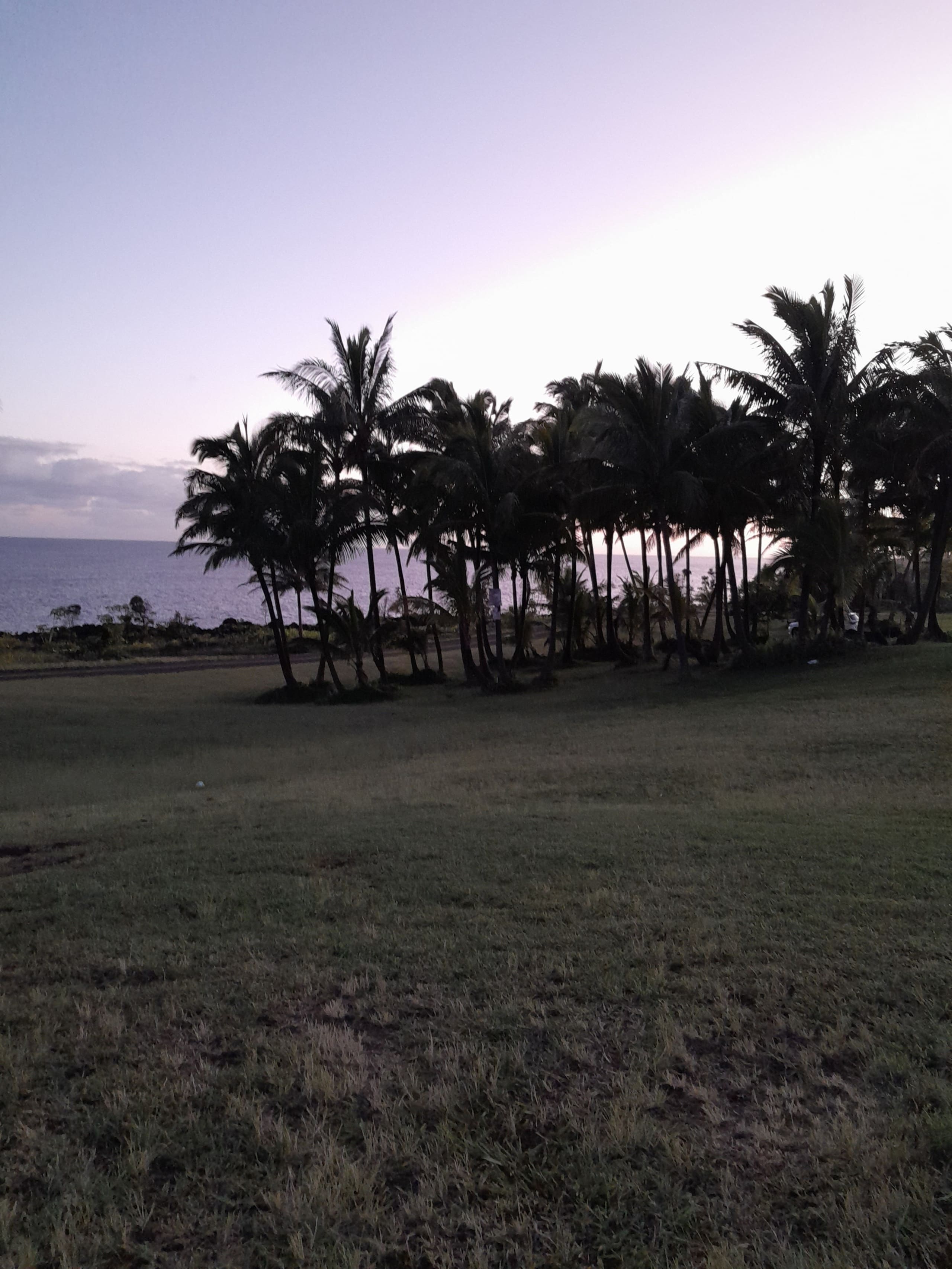 Cabin in Pahoa · ★5.0 · 1 bedroom · 1 bed · 1 private bath - Image 20
