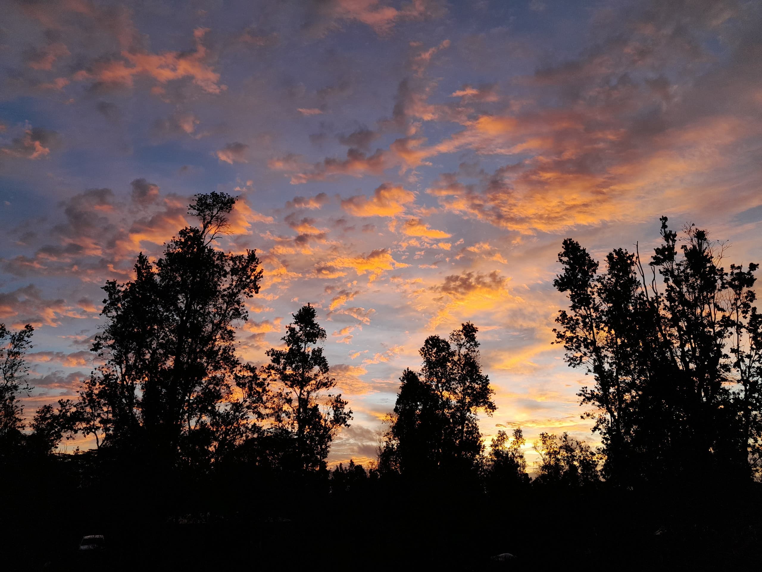 Cabin in Pahoa · ★5.0 · 1 bedroom · 1 bed · 1 private bath - Image 19