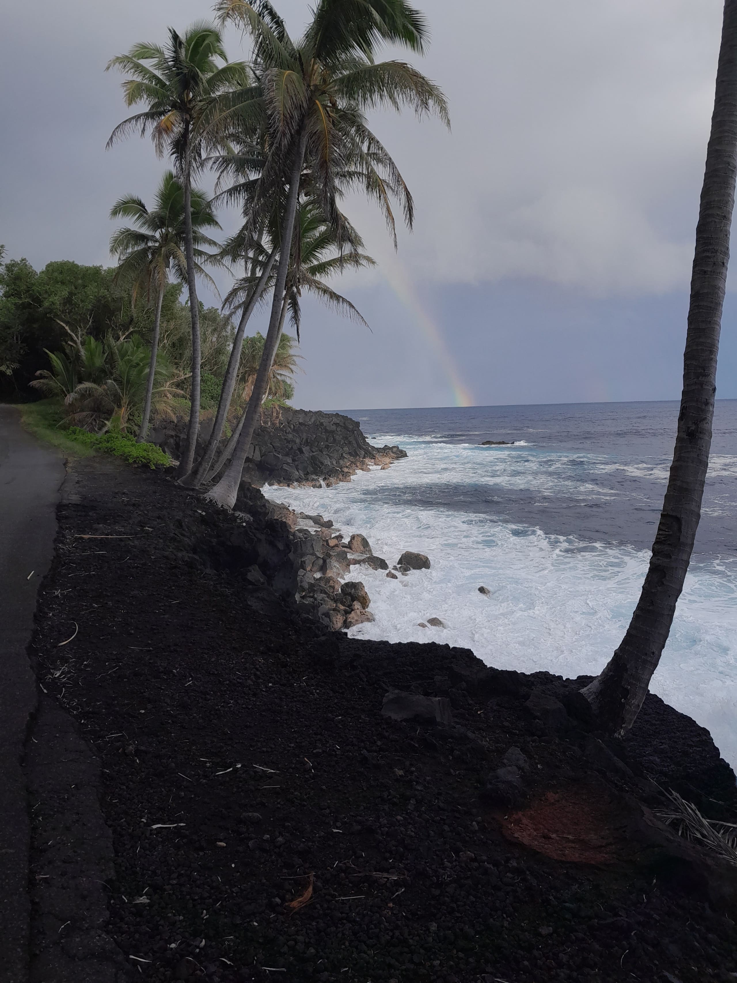 Cabin in Pahoa · ★5.0 · 1 bedroom · 1 bed · 1 private bath - Image 21