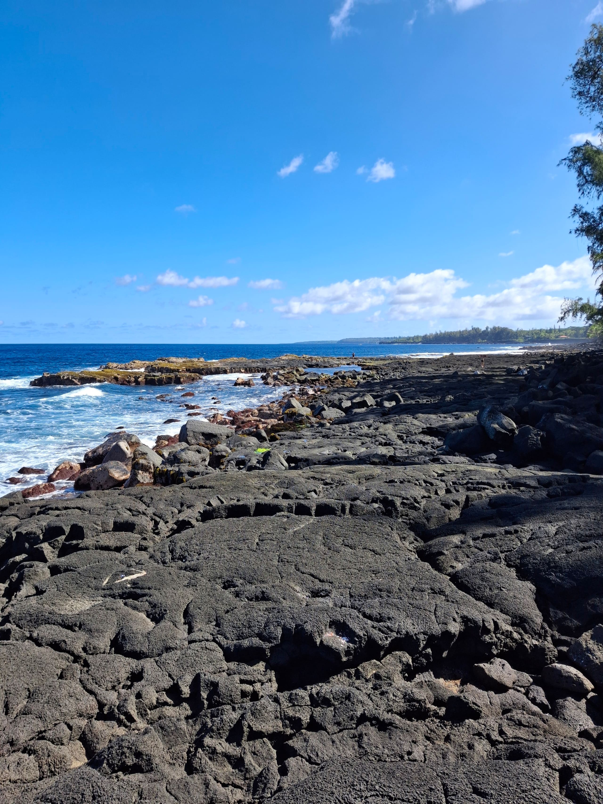 Cabin in Pahoa · ★5.0 · 1 bedroom · 1 bed · 1 private bath - Image 16