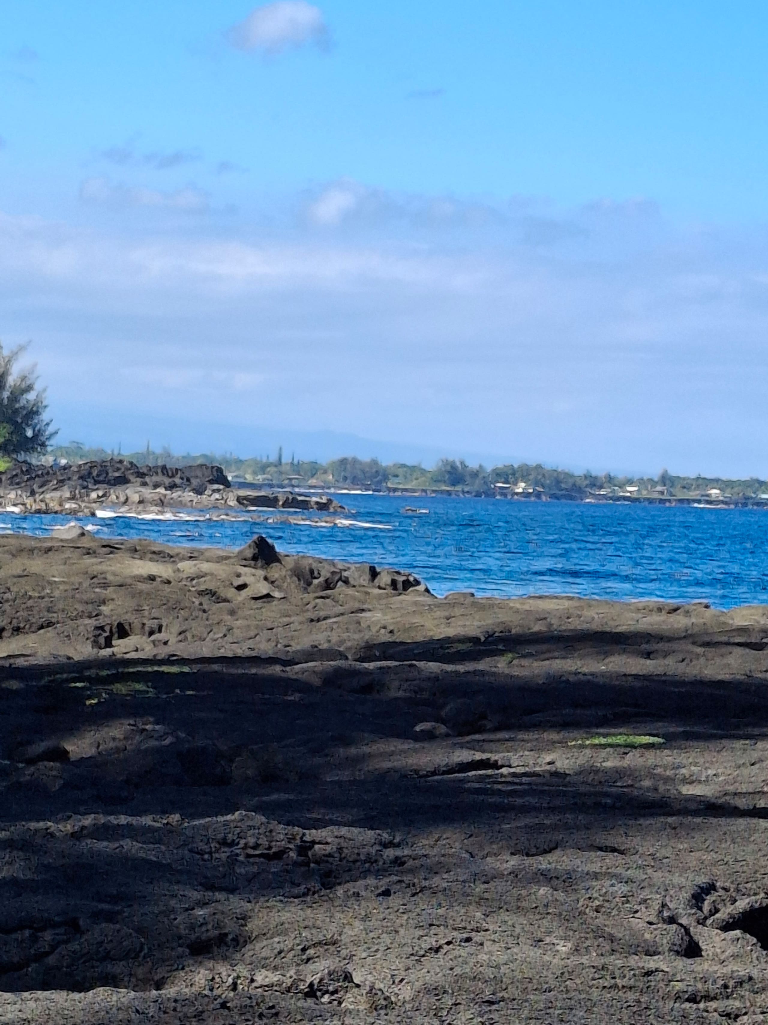 Cabin in Pahoa · ★5.0 · 1 bedroom · 1 bed · 1 private bath - Image 15