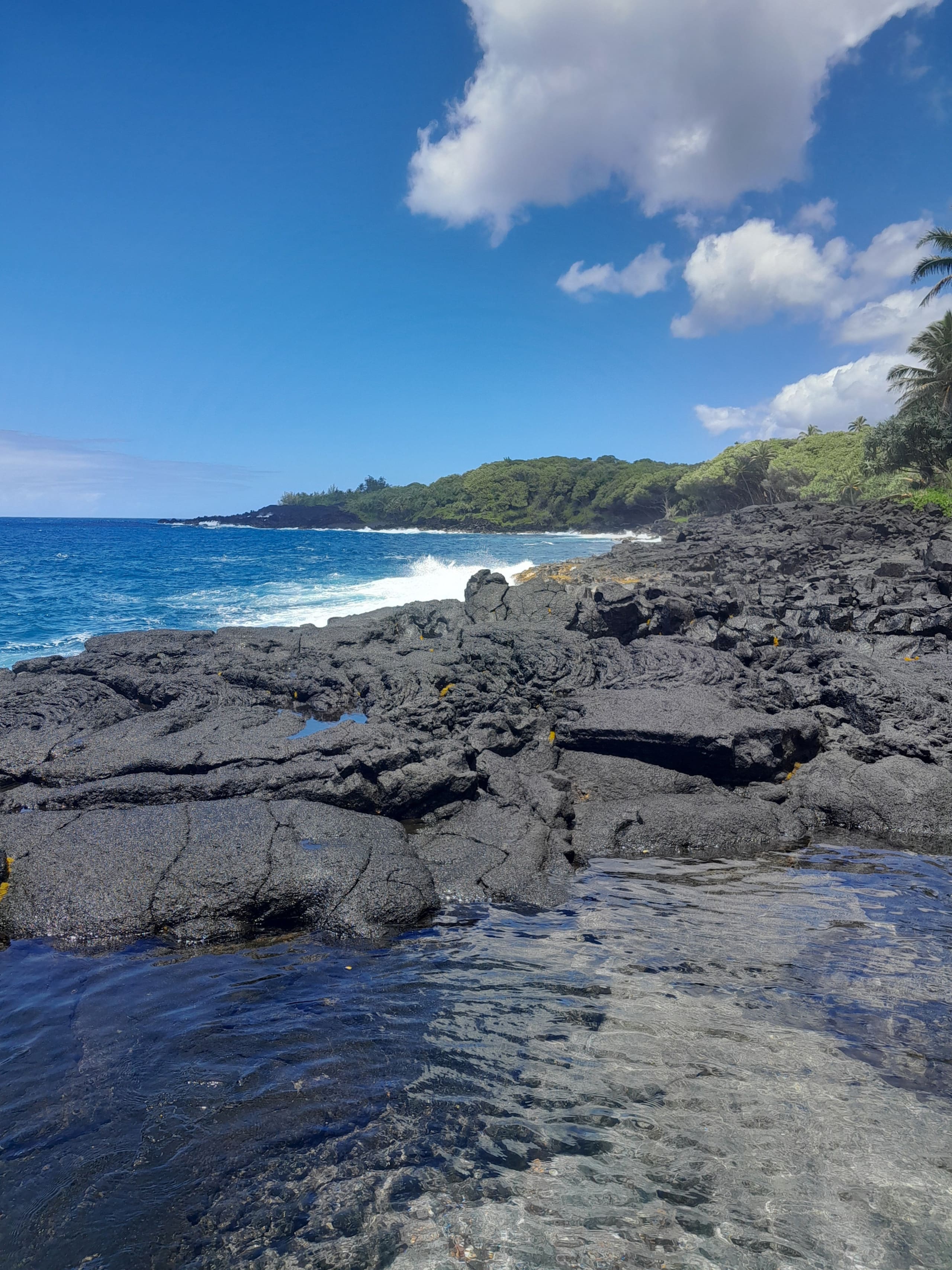 Cabin in Pahoa · ★5.0 · 1 bedroom · 1 bed · 1 private bath - Image 17