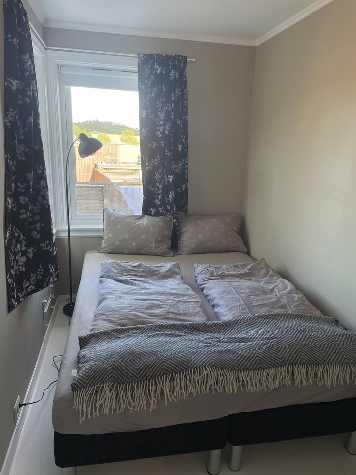 Quarto 2