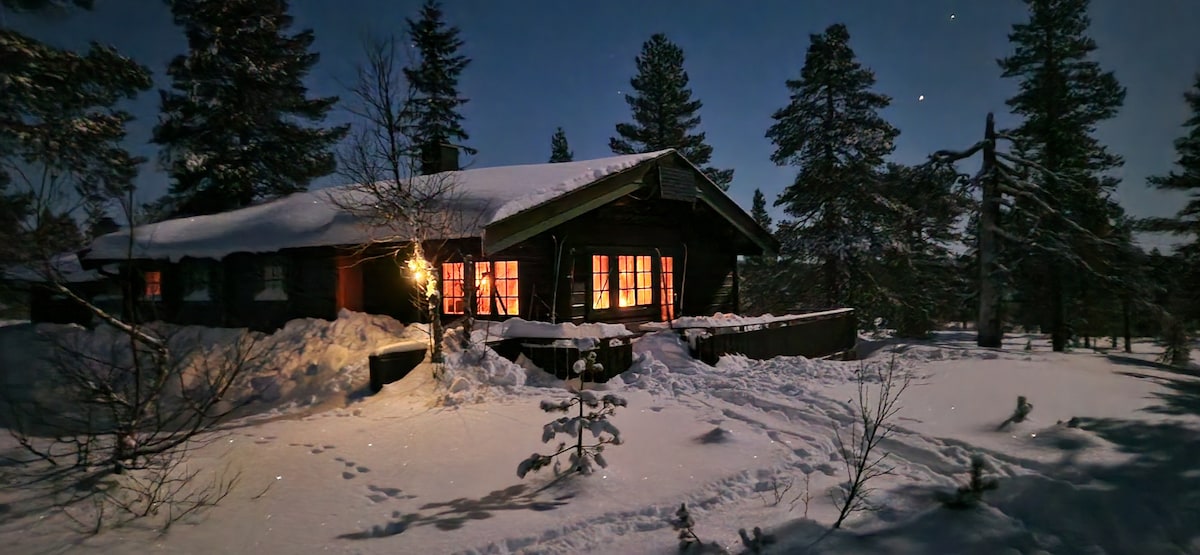 A rustic cabin is partially illuminated by warm light from its windows amidst a snowy landscape. Tall evergreen trees surround the property, and fresh snow blankets the ground, enhancing the serene winter atmosphere.