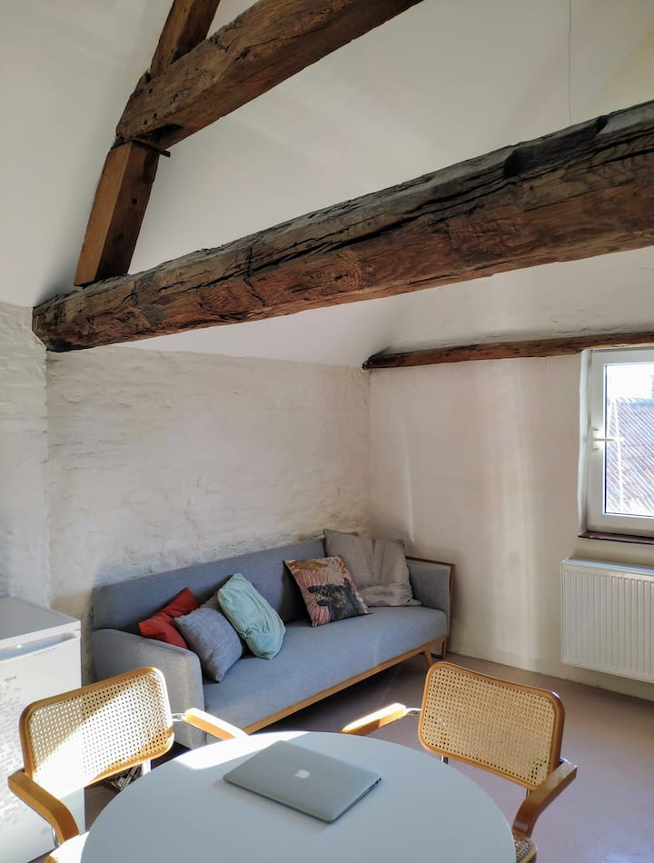 Centraal Gelegen Studio - Maarkedal