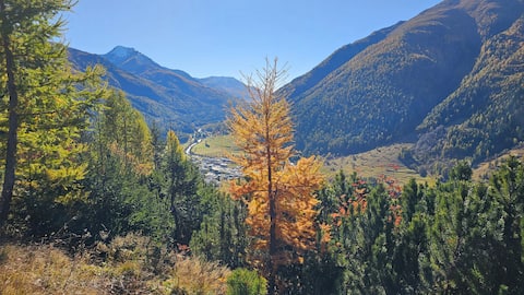 Cozy & large Engadin apartment - with fireplace