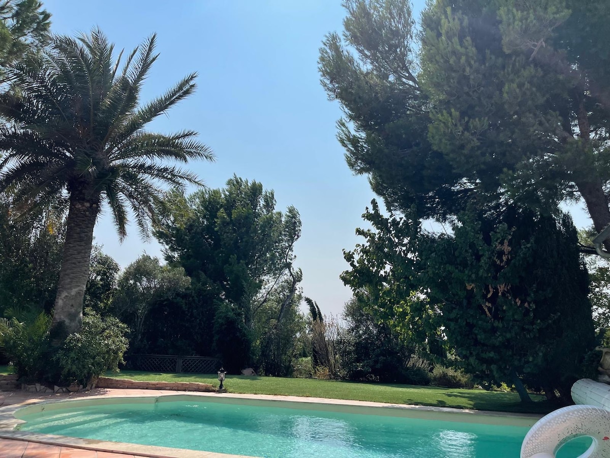 The image features a serene pool surrounded by lush greenery and tall palm trees. Bright blue skies and a gentle sunlight create a tranquil atmosphere. The expansive lawn and variety of trees add to the outdoor space's natural beauty.