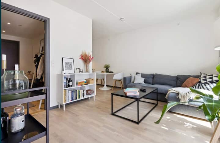 Centrally Located Apartment For Short Stays - Oslo