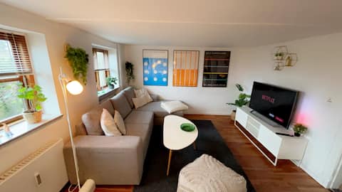Top performing Airbnb: Apartment with castle in the backyard! in Nyborg