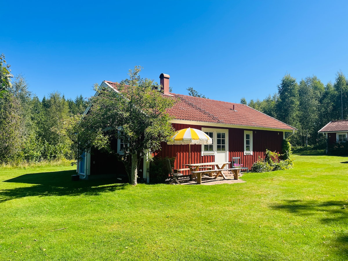 A red wooden cottage is surrounded by a lush green lawn, partially shaded by trees. A picnic table with a yellow-and-white striped umbrella is positioned on the patio, providing a spot for outdoor relaxation. Clear blue skies complete the serene natural setting.