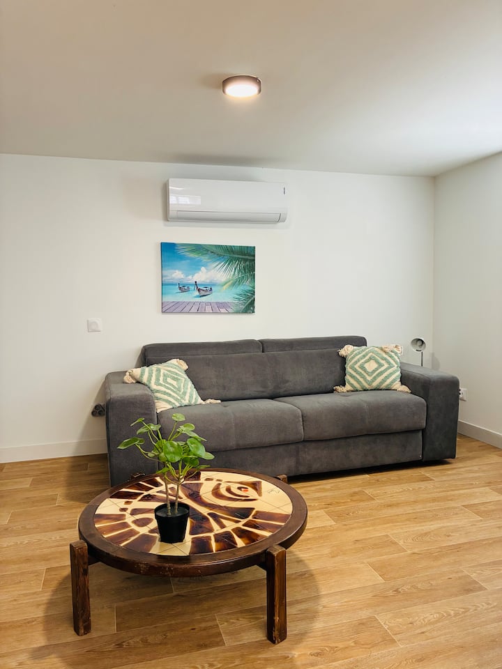 Rez De Villa 4 Pers•terrasse•2 Tv•wifi - Dax