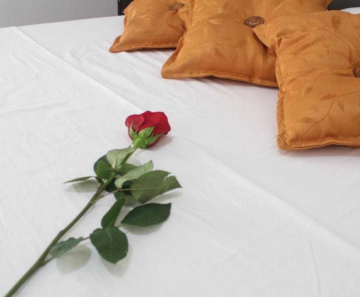 A neatly arranged bed is topped with a white sheet. Three golden-hued decorative pillows are positioned against the headboard. A single red rose is delicately placed on the bed, accompanied by green leaves for a subtle touch of nature.