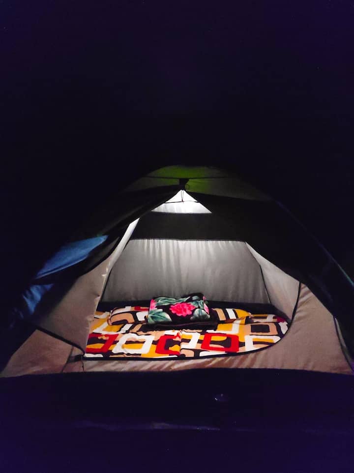 Habitación 1