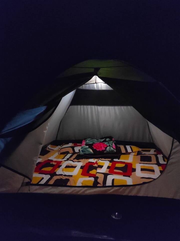 Habitación 4